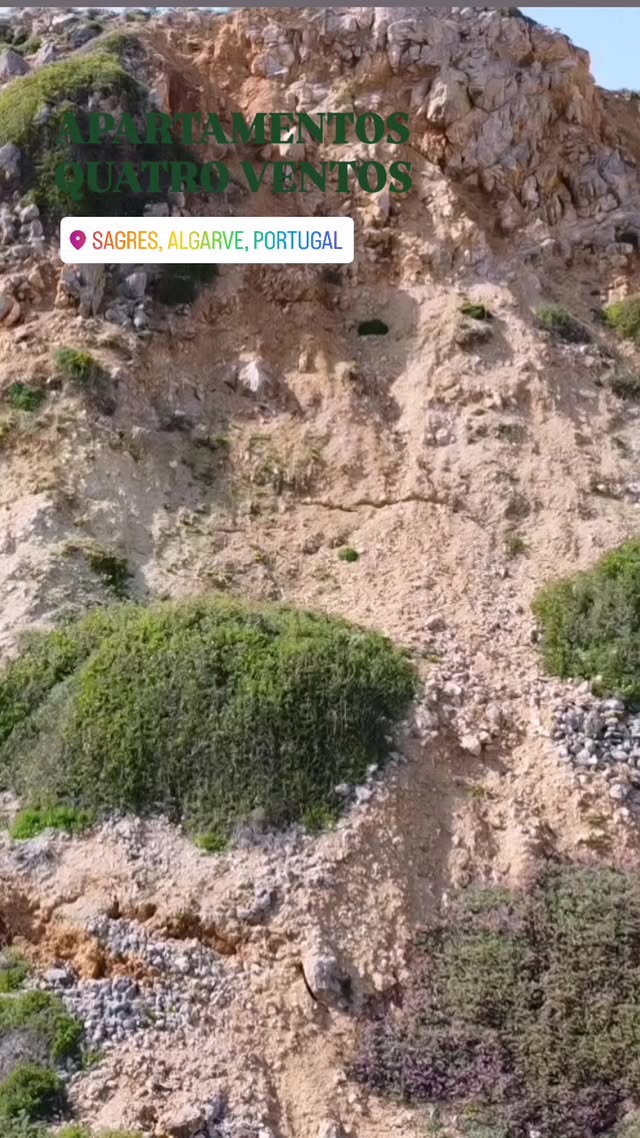 Portugal Soul Instagram travel photo